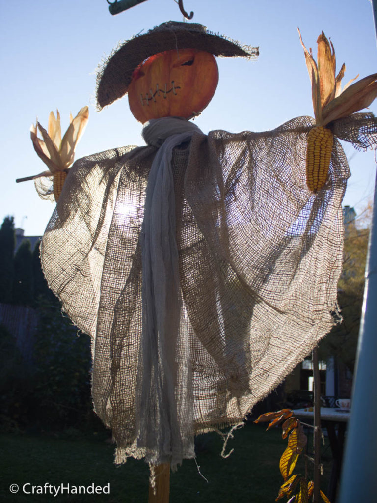 Finished Pumpkin Scarecrow Against the Sun