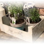 CraftyHanded Herb Box